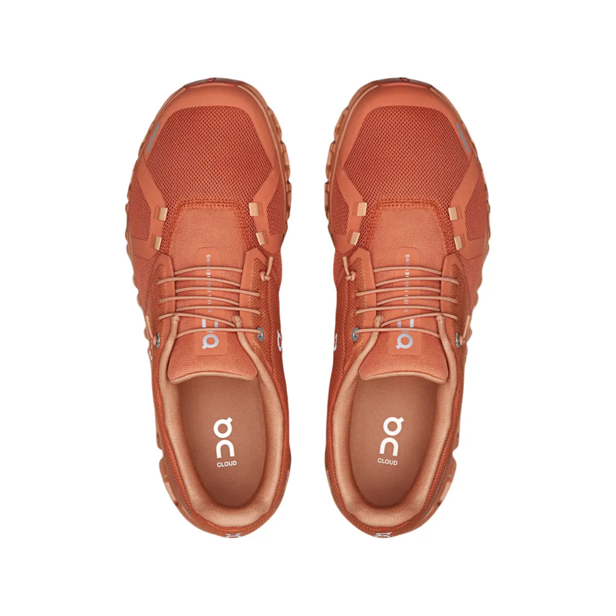 Cloud 6 Canyon Sandstone